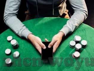 森林舞会12门打法-森林舞会12门打法的独特策略与技巧
